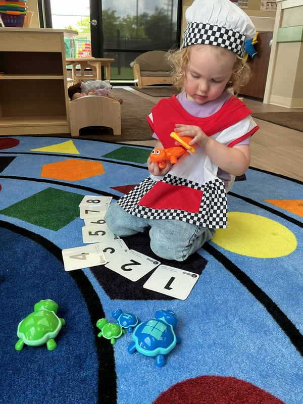 Counting at Primrose
