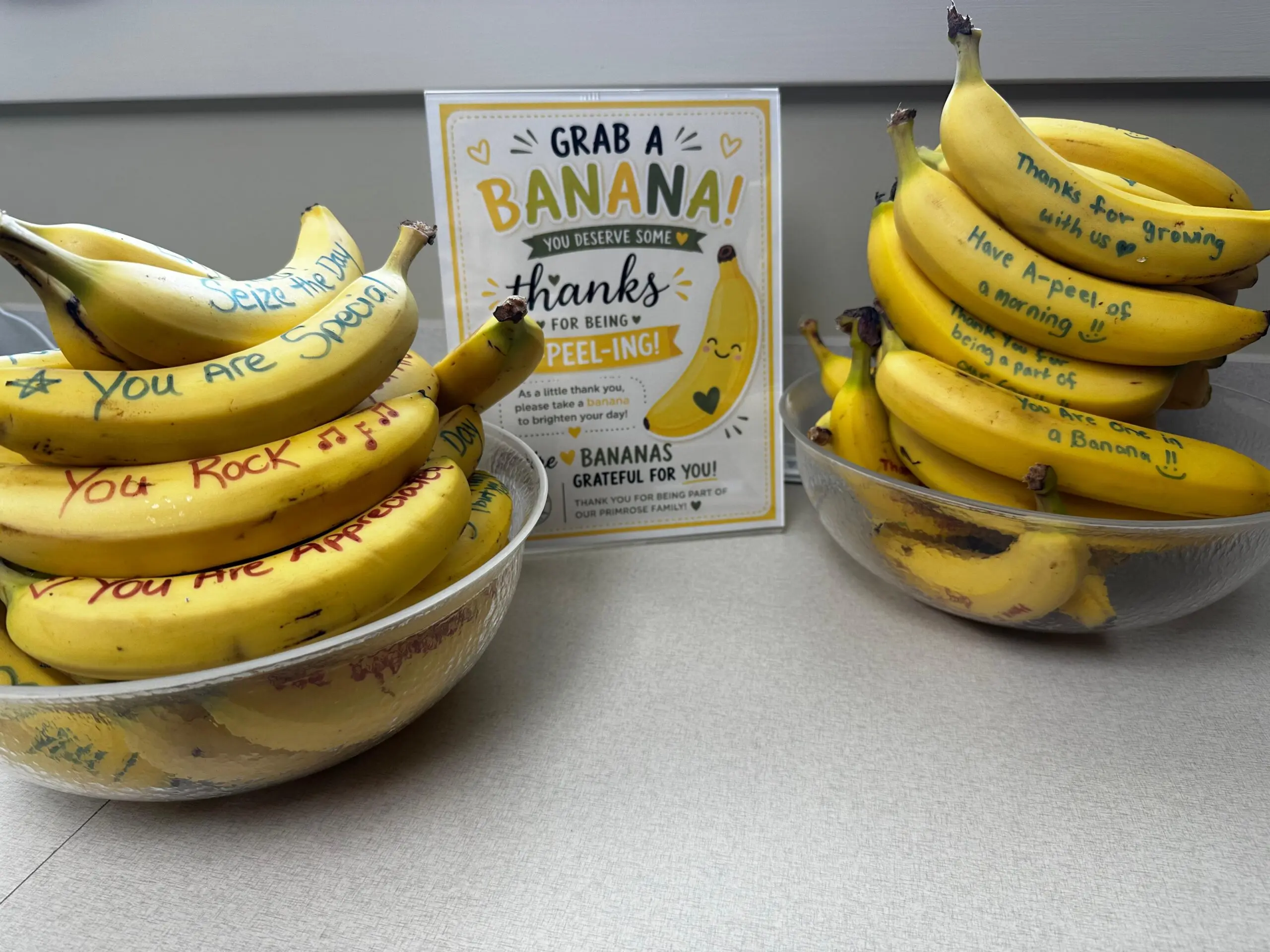 Primrose waxhaw bananagram