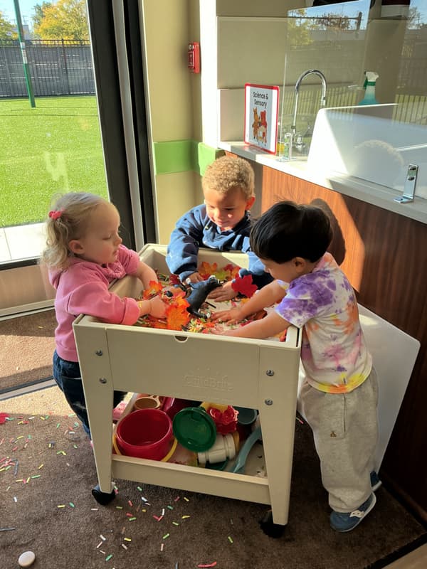 Sensory Table Fun