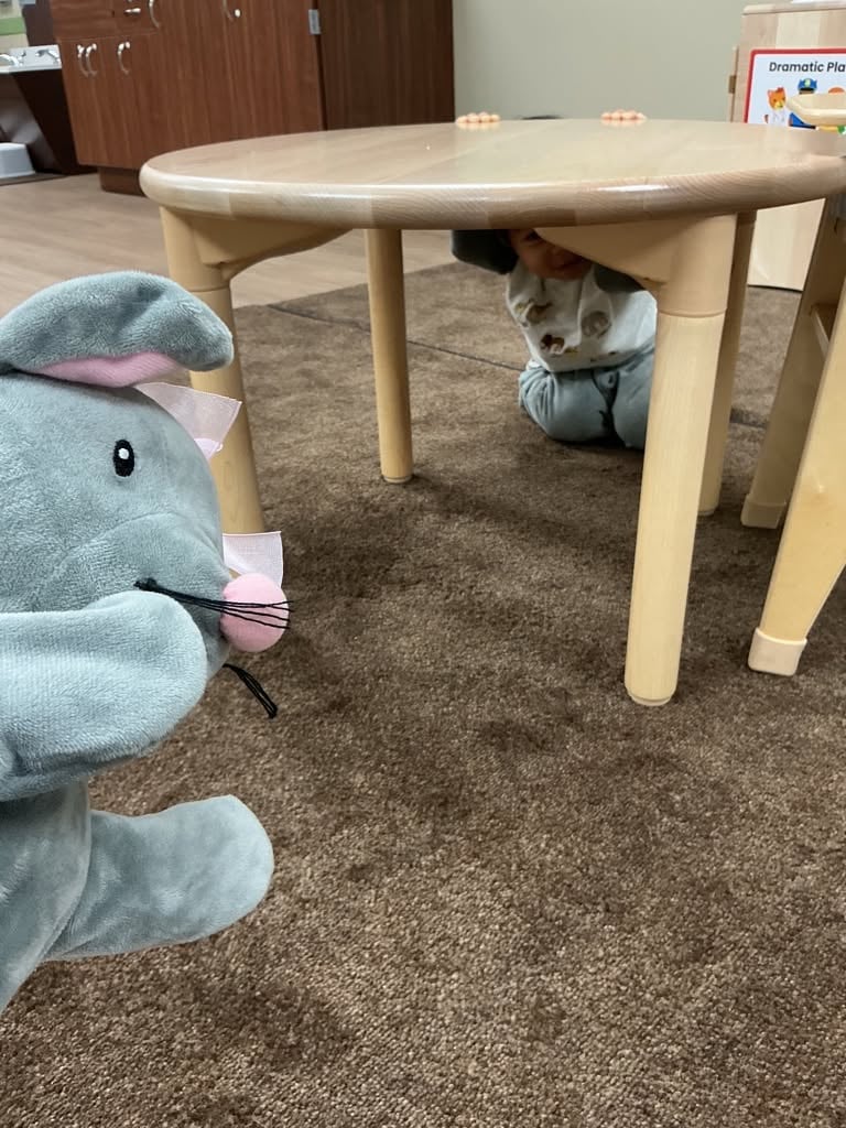 Infant smiling while playing hide-and-seek with a classroom friend, encouraging curiosity, social interaction, and imaginative play at Primrose School.