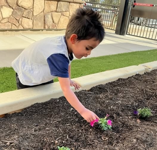 Preschooler planting flowers in the school garden while learning about nature, responsibility, and caring for the environment at Primrose School.