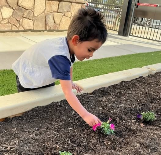 Preschooler planting flowers in the school garden while learning about nature, responsibility, and caring for the environment at Primrose School.