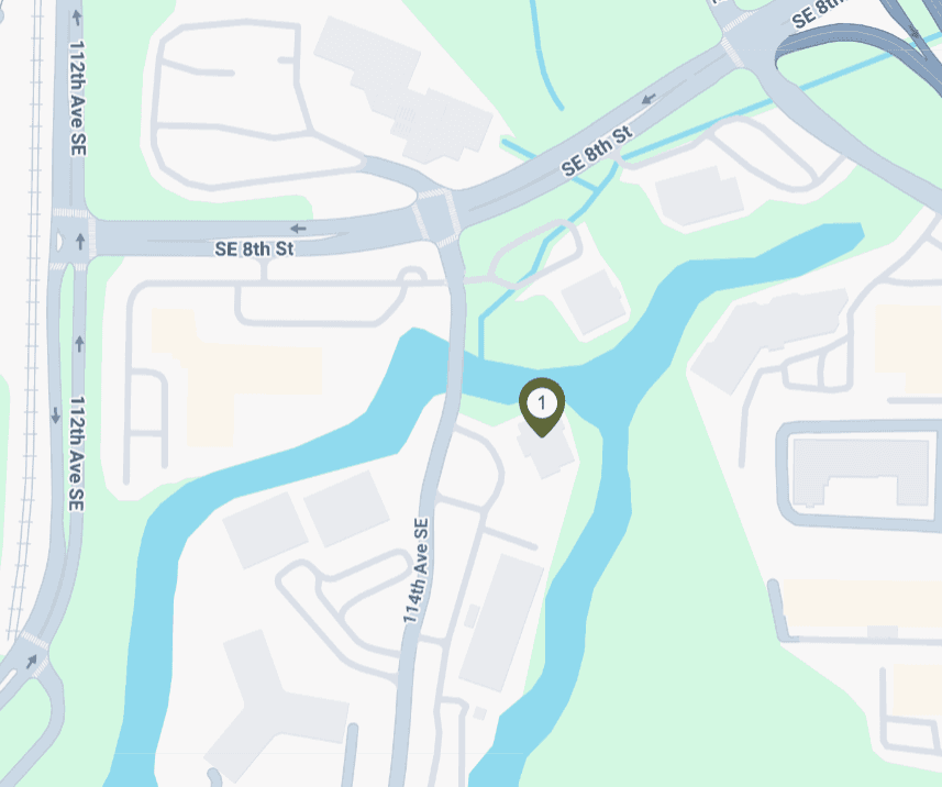 Neighborhoods We Serve in Bellevue