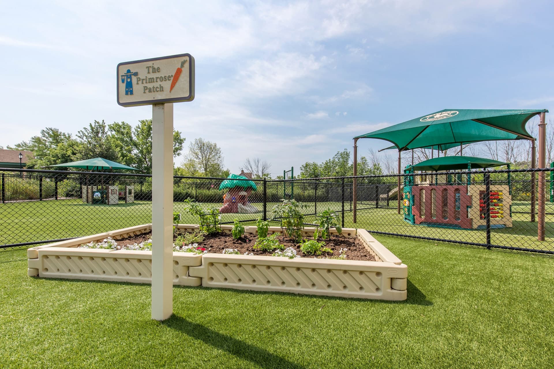 Daycare and Preschool in Long Grove, IL Primrose School of Long Grove