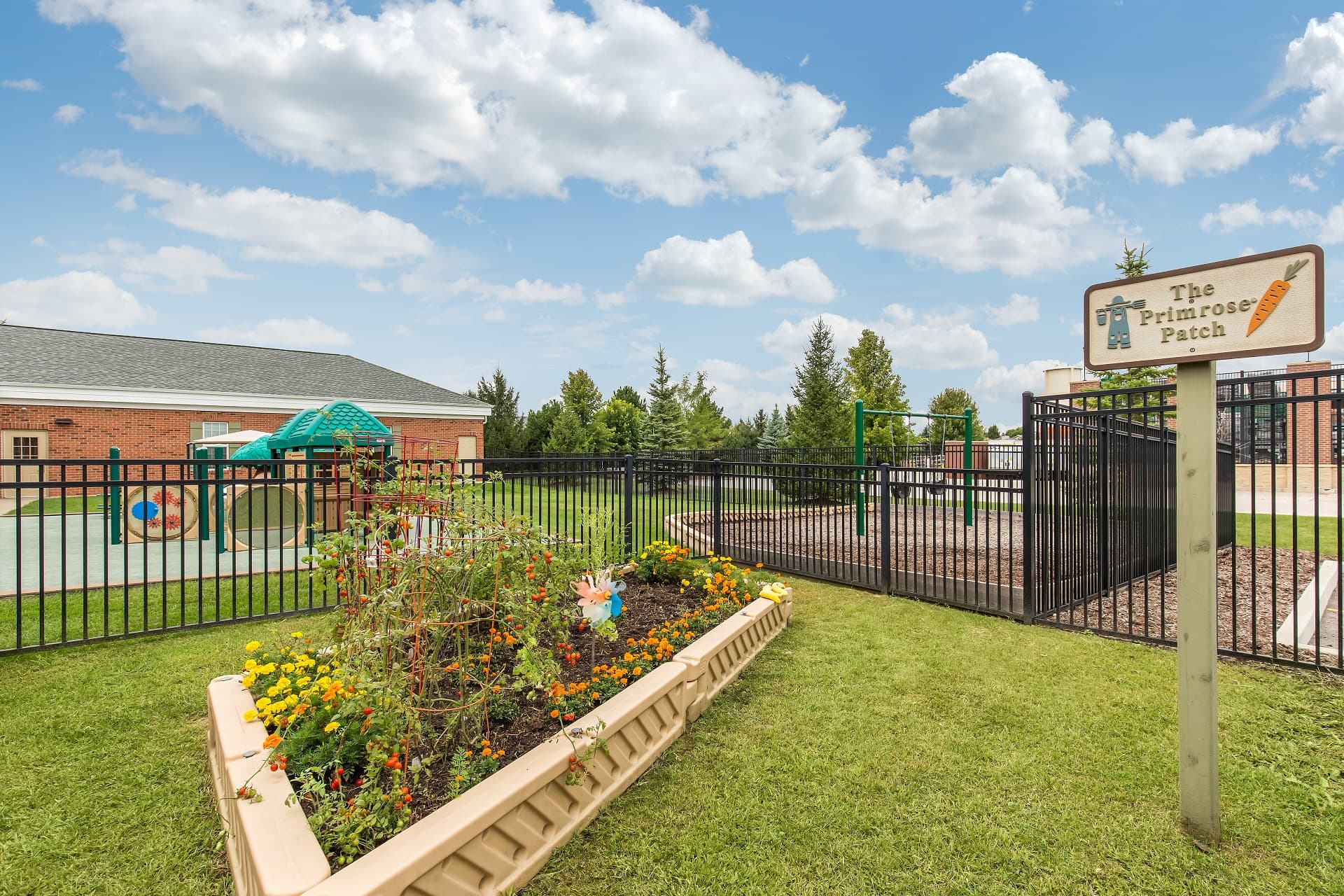 Daycare and Preschool in South Elgin, IL Primrose School of South Elgin