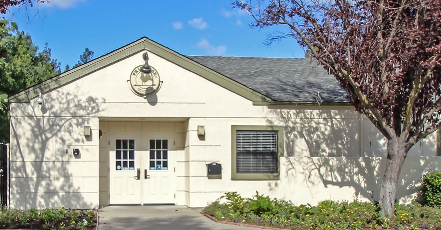 Daycare and Preschool in Pleasanton, CA Primrose School of Pleasanton