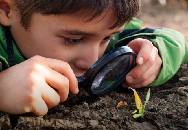 A boy looks curiously at a little sapling through a magnifying glass