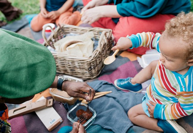 How to Plan the Perfect Family Picnic