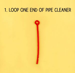 Loop one end of the pipe cleaner creating a circle.
