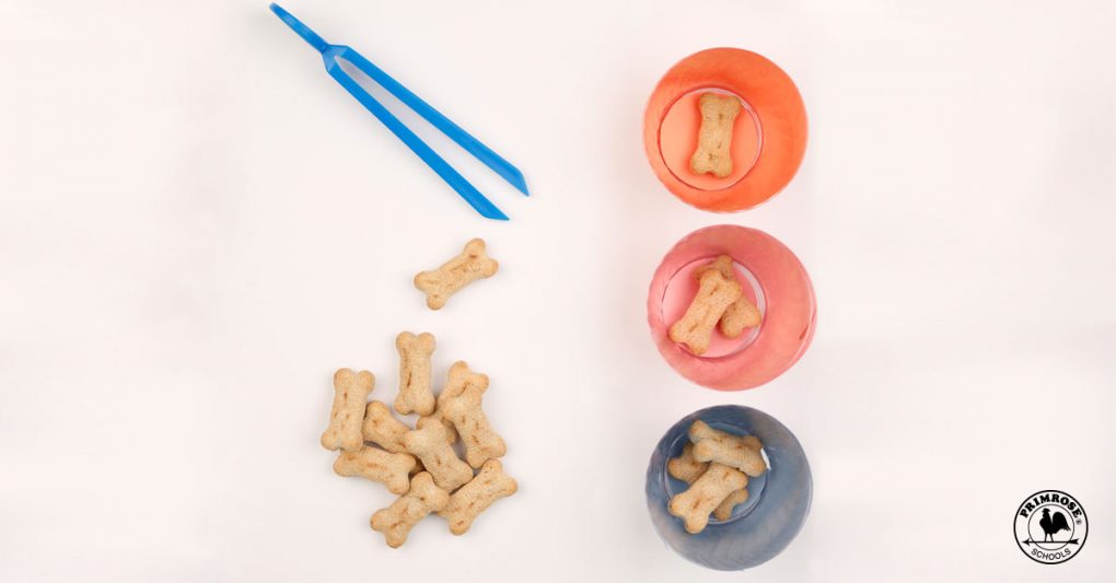 A pile of bone shaped dog biscuits, three bowls and a pair of tweezers