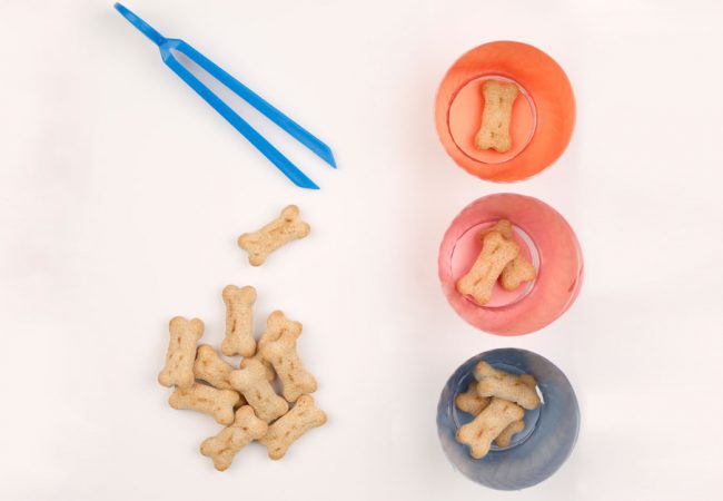 A pile of bone shaped dog biscuits, three bowls and a pair of tweezers