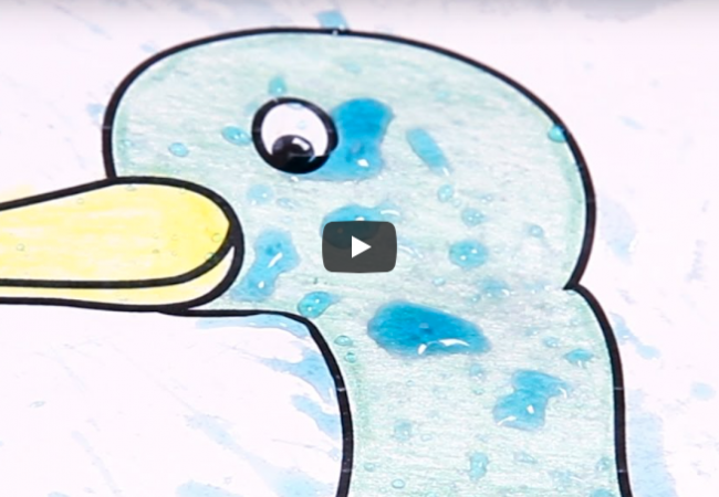Learn How Ducks Stay Dry with this Activity for Preschoolers