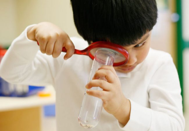 A curious child looks at a solution in a test tube through a magnifying glass