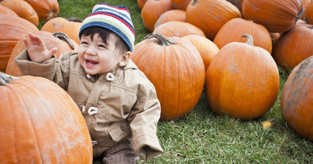 Baby boy visits a pumpkin patch as part of his family's fall bucket list