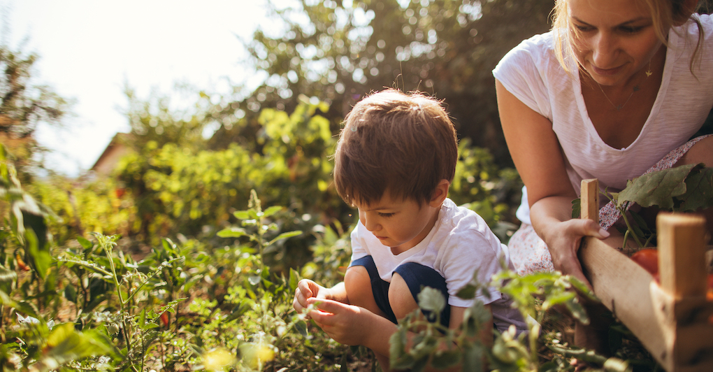 Mother and young son celebrate spring by gardening together