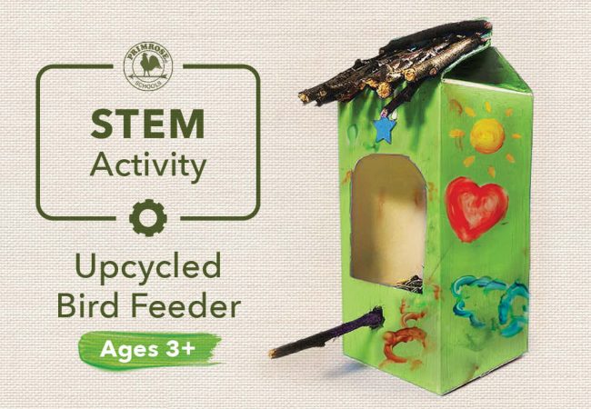 DIY upcycled bird feeder craft