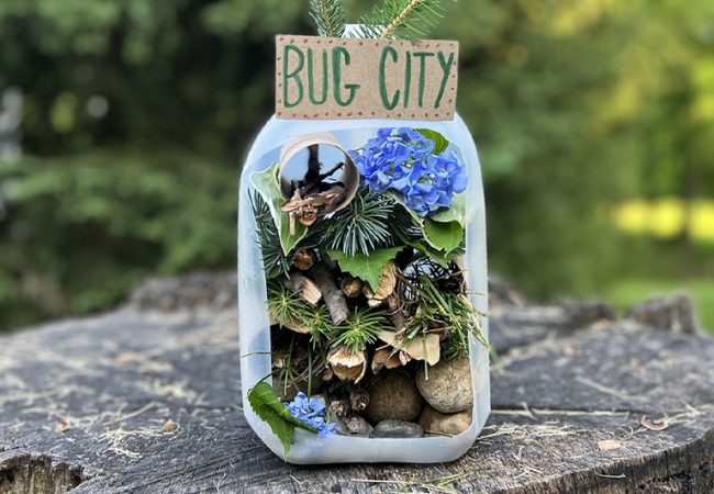 Upcycled Craft: Bug City