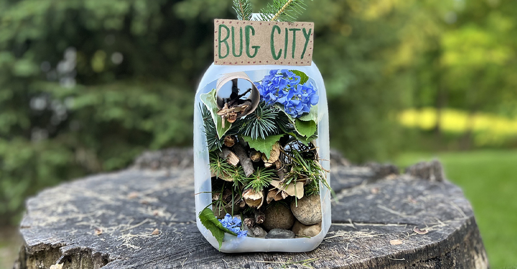 Upcycled Craft: Bug City