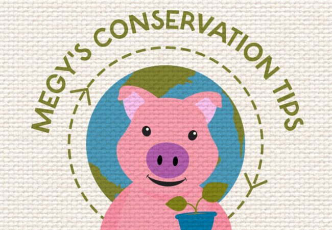 Megy the pig holding plant teaching conservation